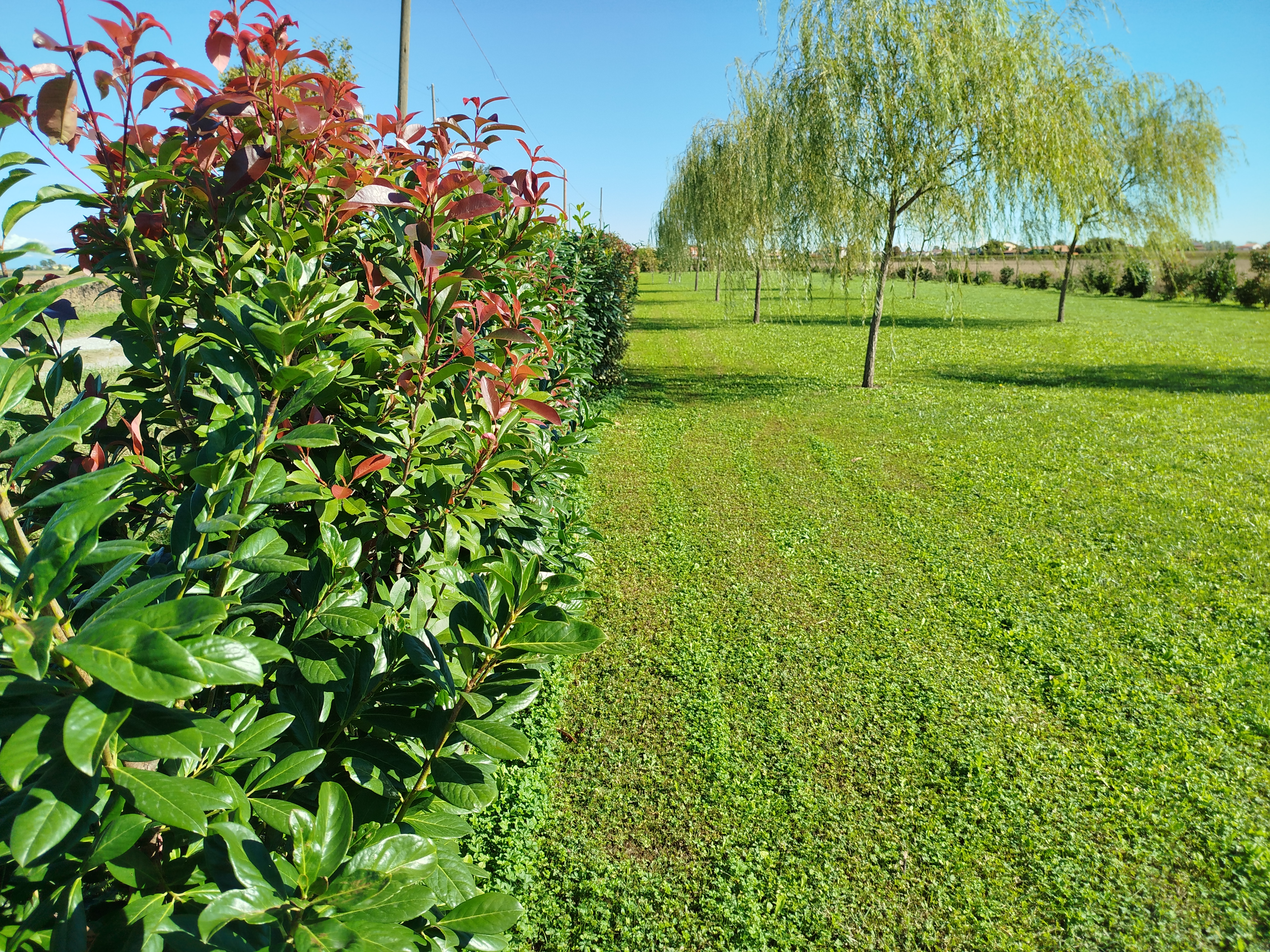 Relaxing outdoor area
