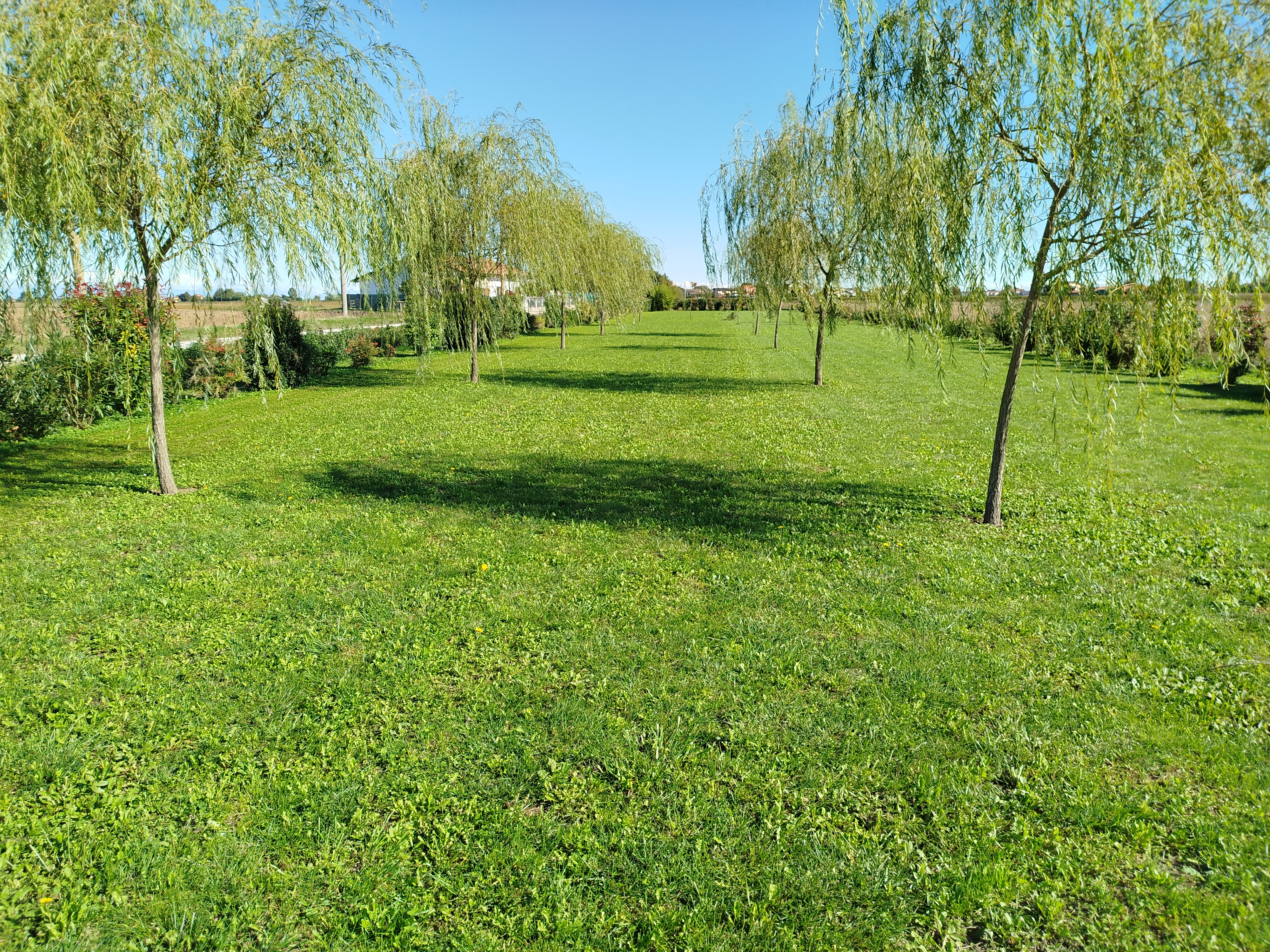 Safe green area for children